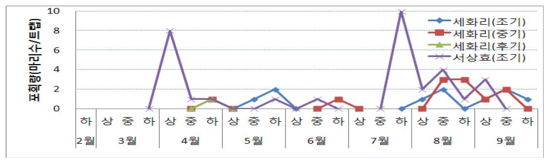 성페로몬 트랩을 이용한 담배거세미나방 시기별 포획량(’09)