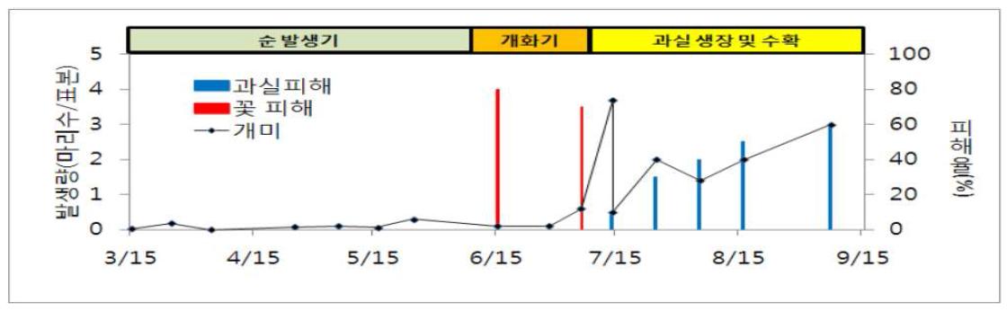 시기별 개미 발생량 및 피해율(’11)