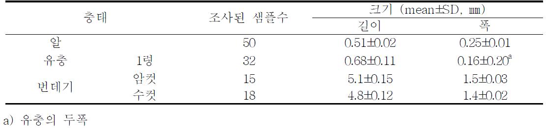 퉁퉁마디뿔나방 각 충태별 크기