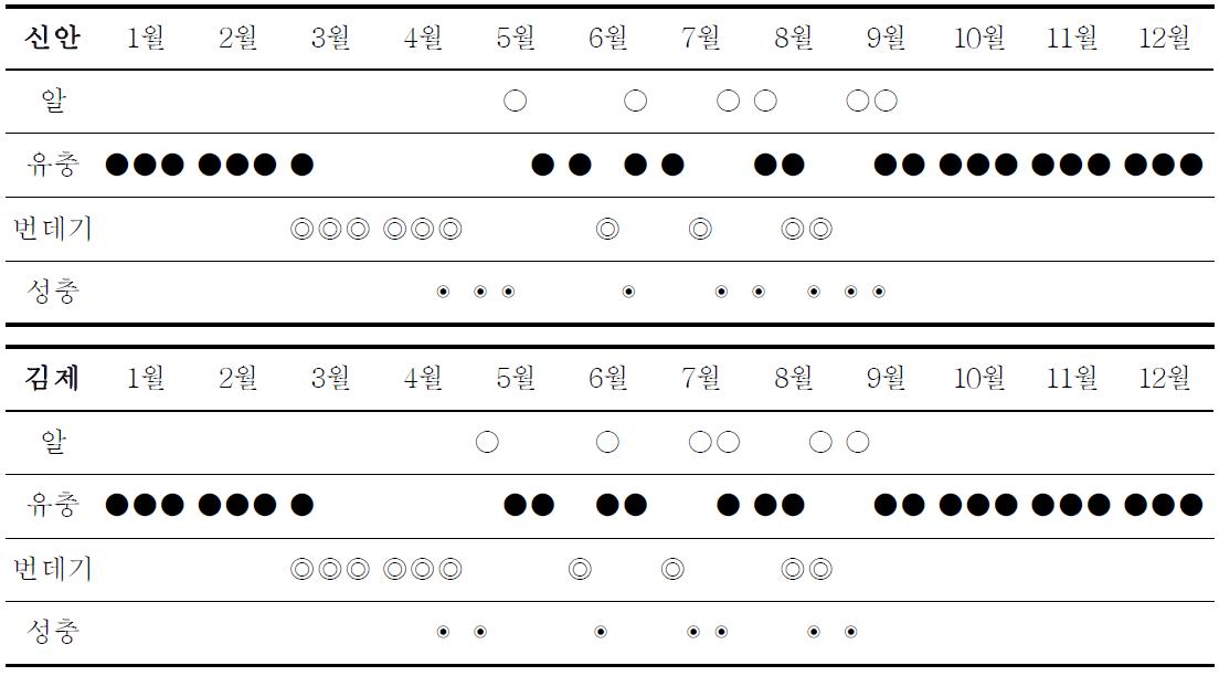 퉁퉁마디뿔나방의 지역별 생활사(‘10)