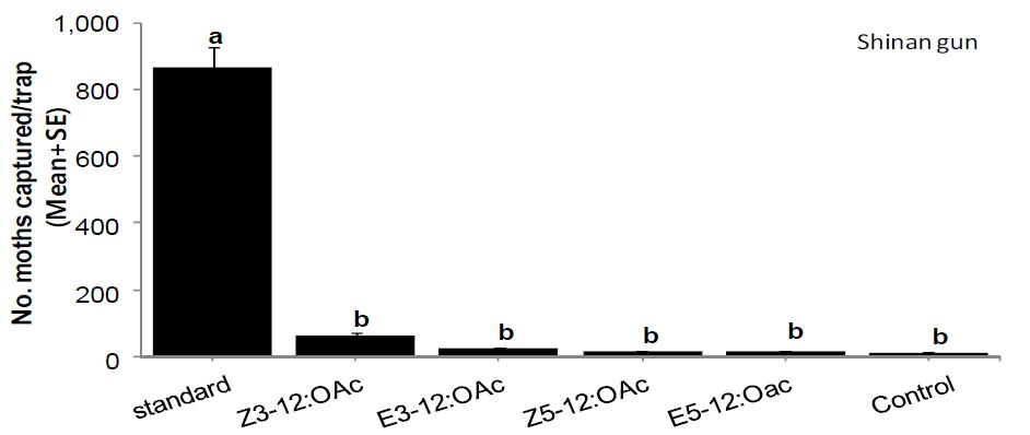 야외에서 Z3-12:OAc와 Z5-12:OAc(standard) 혼합조성 페로몬 성분과 단독처리 페로몬 성분이 퉁퉁마디뿔나방 수컷 유인력에 미치는 영향