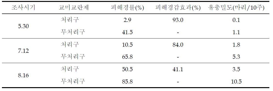 퉁퉁마디에서 퉁퉁마디뿔나방 성충의 교미교란 효과(신안군 임자면, ‘11)