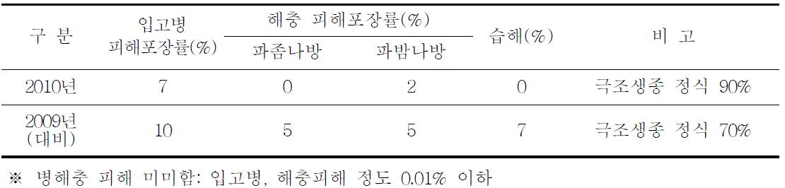 양파 육묘상 병해충, 장해 등 이상현상 조사