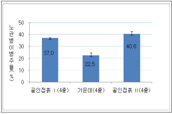 양파 비닐피복 고정용 골 인접부 흙에서의 노균병 피해정도(‘08. 5. 5. 해남, 흑색유공 비닐, 종 방향으로 4줄씩 77주 조사/지점)