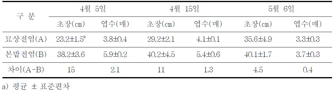 중만생종 양파 노균병 묘상전염과 본포전염 피해주의 생육 특성차이(2011)