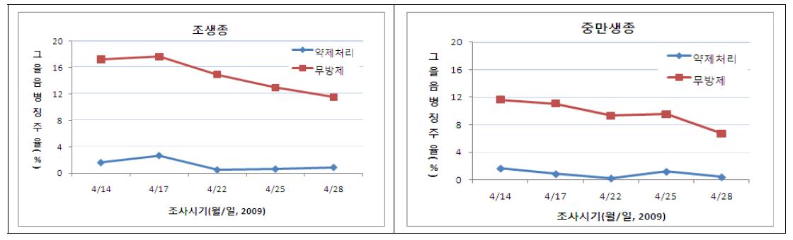 양파 생육초기 발생 노균병 피해주 약제방제시 그을음병징 발생주율(약제처리기간: 3월 12일～4월 16일, 1주일간격 6회살포, 최종조사-4월16일, 조사주수 314～329주/반복/품종, 2009년)