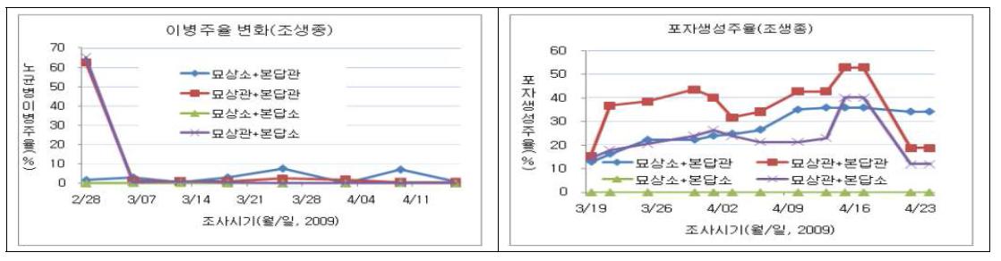 육묘상, 본답 태양열 토양소독에 따른 노균병 경시적 발생양상(소=토양소독, 8월 고온기 석회질소100kg/10a, 비닐밀봉, 관행=양파 연작토양, 100주조사/반복, 2009)