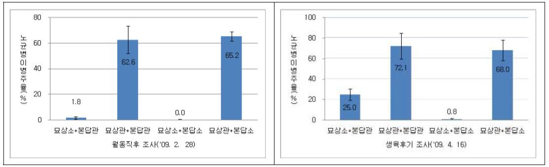 육묘상, 본답 태양열 토양소독에 따른 노균병 발생양상(소=토양소독, 8월 고온기 석회질소100kg/10a, 비닐밀봉, 관행=양파 연작토양, 100주조사/반복, 2009)