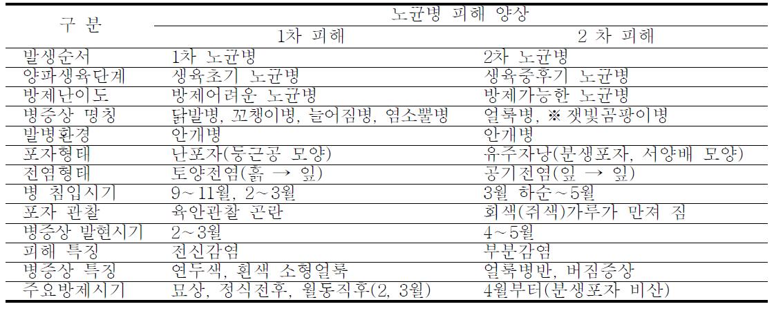 양파 노균병 피해양상 종합 요약