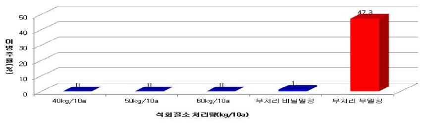 묘상태양열 토양소독용 석회질소 살포량이 노균병 발생에 미치는 영향(2011, 묘상예정지 태양열 토양소독 7월 하순-8월 하순(1개월), 이병주율조사: