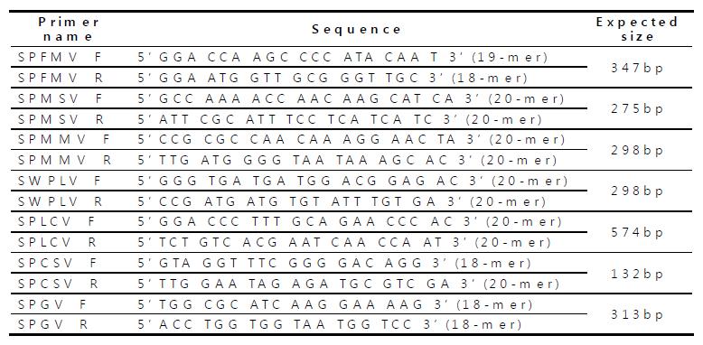 바이러스 동정에 사용된 프라이머
