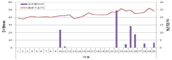 삽식시기별 강수량 및 평균기온