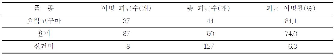 덩굴쪼김병 감수성 및 저항성 품종간 괴근 이병률 비교