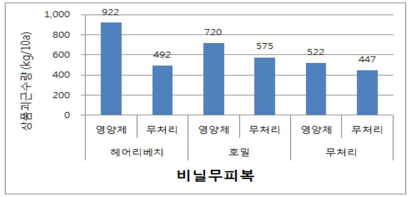 덩굴쪼김병 발생 포장에서의 비닐무피복구에서 녹비작물윤작과 영양제 처리가 수량에 미치는 효과