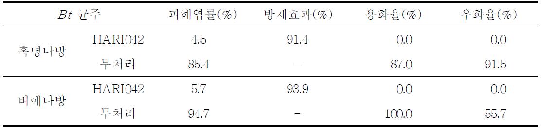 우수균주 비티 HARI042(자체선발)의 방제효과 검정(폿트 시험)