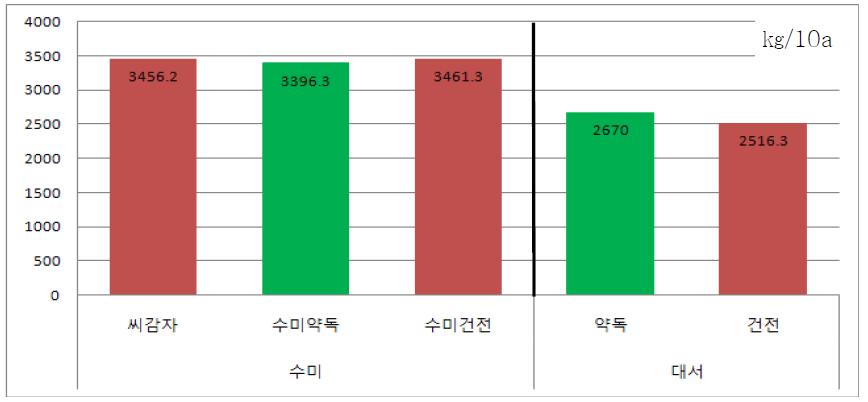 지상부 스프레이 처리 후 후대 감자의 수량변화(진부)