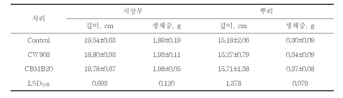 종자침지가 고추유묘 생장에 미치는 효과 - 정식 전 생육조사 결과