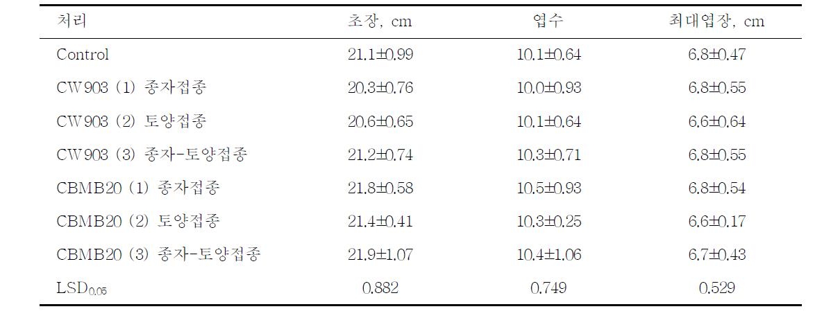 종자 및 토양 처리에 따른 고추 유묘 생장 - 정식 후 1차 생육조사 결과