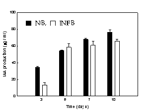 NB 배지와 JNFB 배지에서 A. brasilense CW301의 IAA 생성량 비교