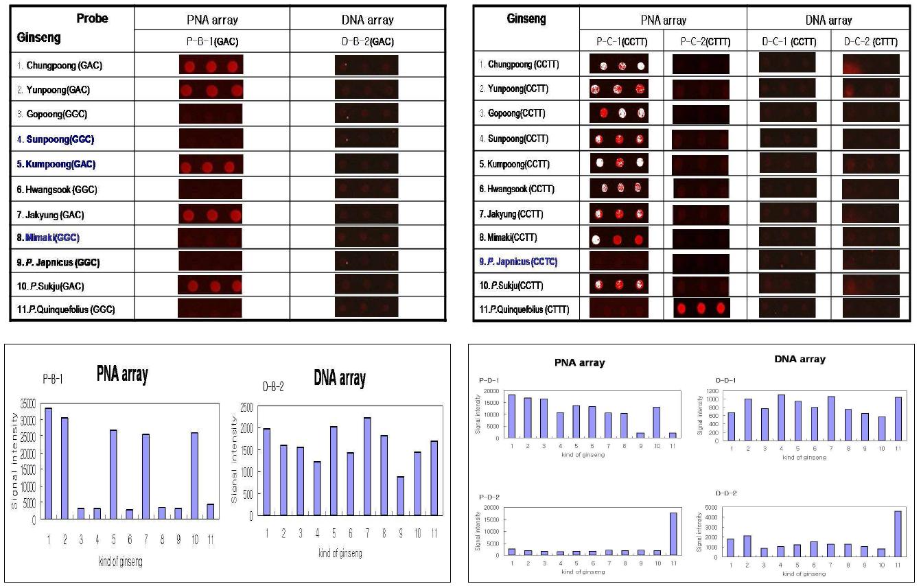 국내산 품종, 미국삼 및 죽절삼 구분 가능 PNA 프로브 및 PNA array와 DNA array의 반응 감도 비교