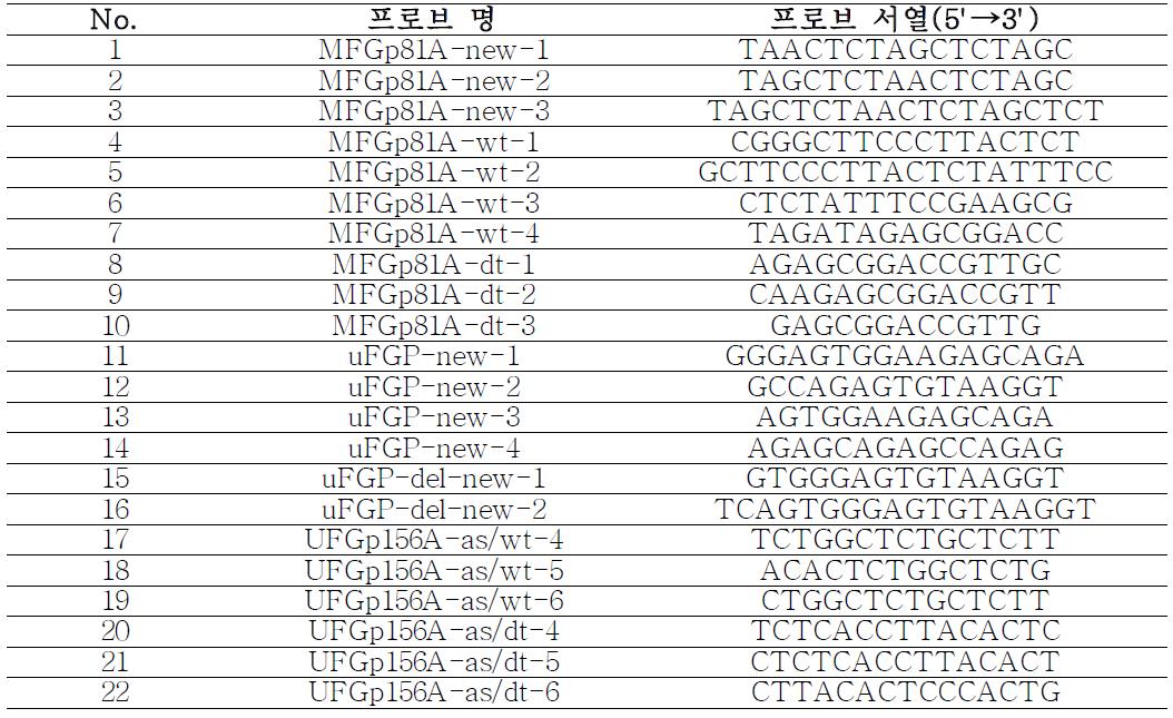 MFGp81A와 UFGp156A로부터 디자인된 총 22개의 프로브 명 및 염기서열