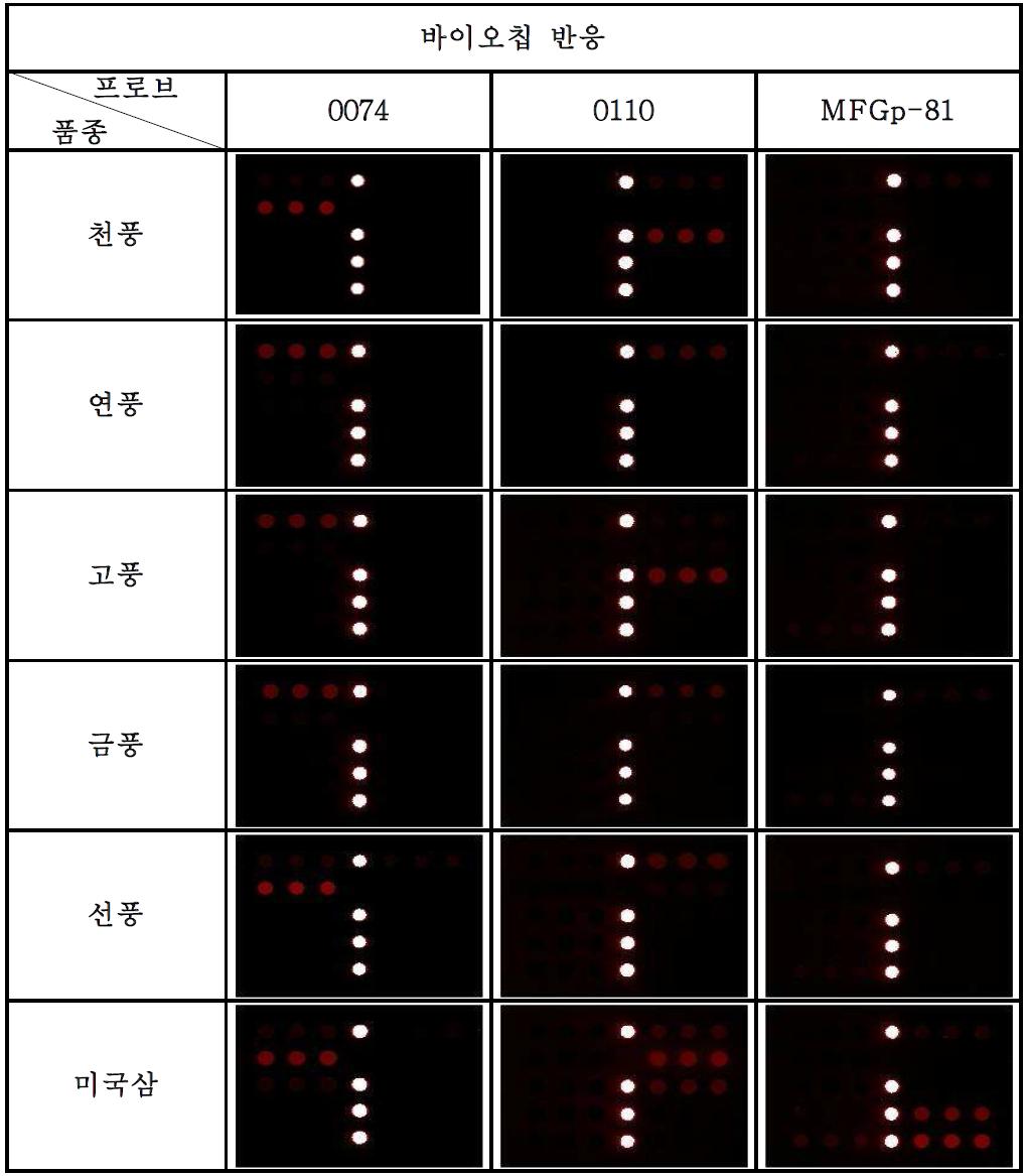 바이오칩을 이용한 인삼 5품종 및 외국삼 판별