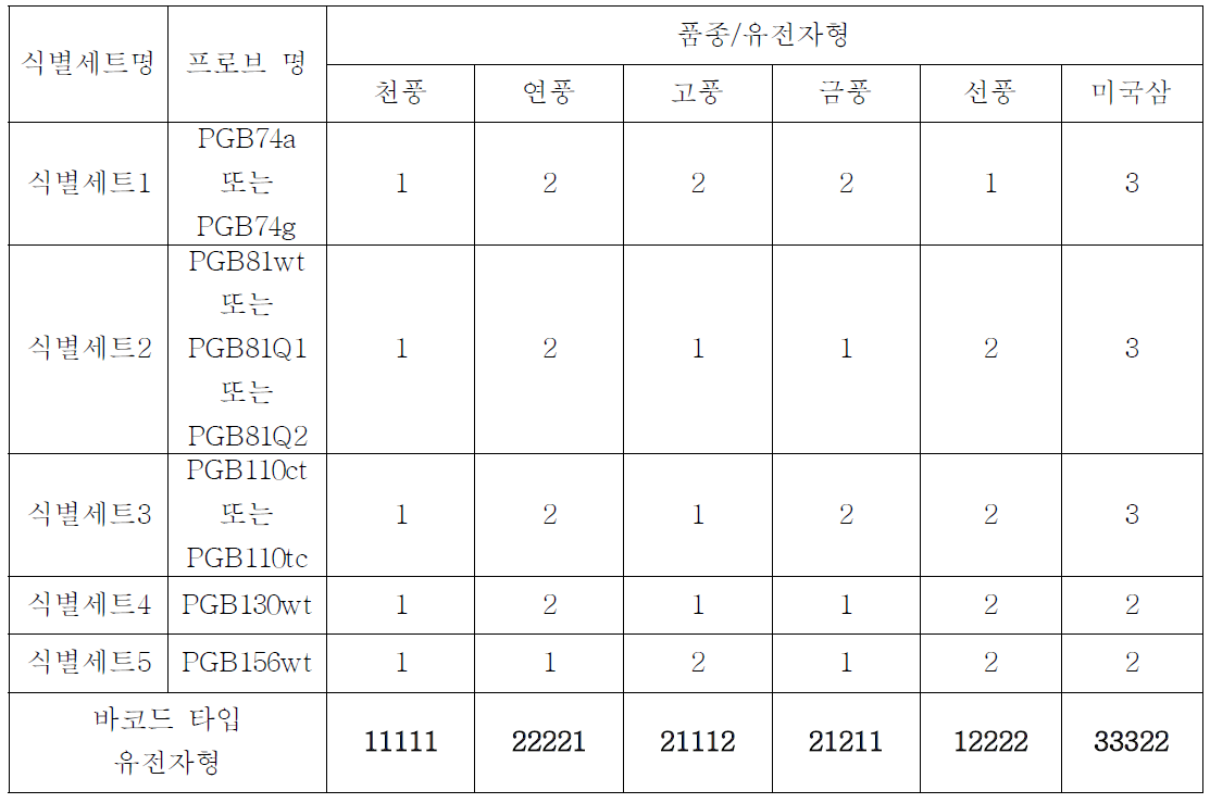 5세트(9종)의 PNA 프로브를 이용한 인삼 5품종 및 미국삼의 바코드 타입 유전자형