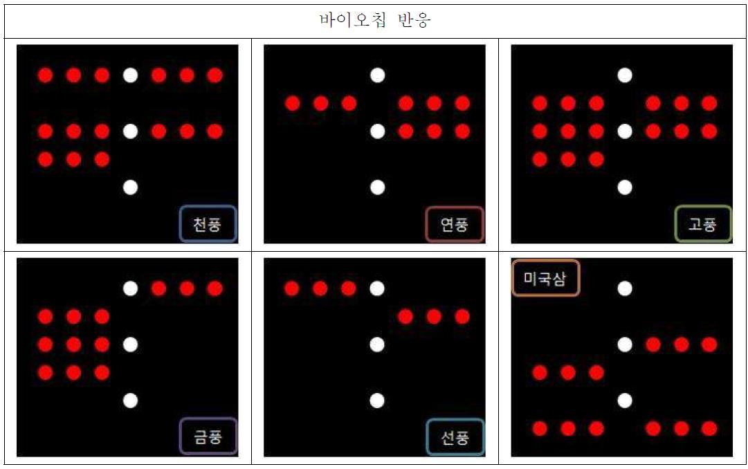 인삼 5품종 및 미국삼의 바이오칩 반응 결과 모식도