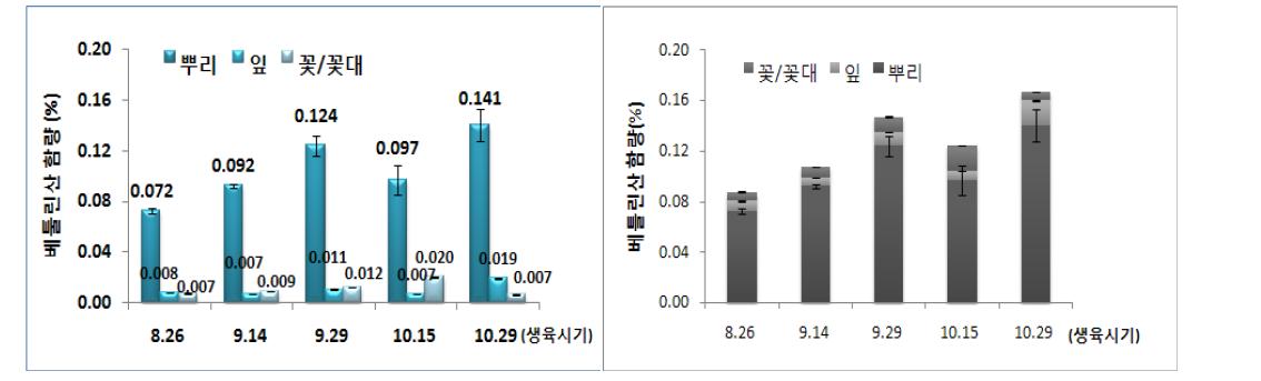 털부처꽃의 생육시기 및 부위별 베툴린산 성분 함량(좌) 및 전체 부위별 단위 중량당 총 베툴린산 성분 함량(우)