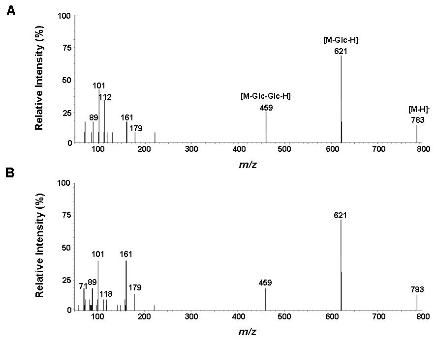 단백질에 의해 합성된 진세노사이드 Rg3의 LC-MS/MS 분석(A, standard; B, product from enzymatic reaction)