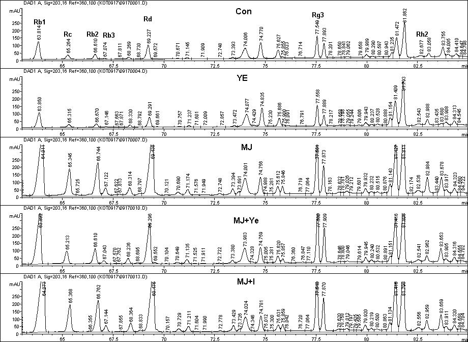 증숙된 배양근 진세노사이드 HPLC 분석(Con, 무처리; YE, 5.0 g/L 처리; MJ, 0.1 mM MJ 처리; MJ+Ye, 0.1 mM MJ 및 5.0 g/L YE 처리; MJ+I, 0.1 mM MJ 및 5.0 ㎎/L IBA 처리)