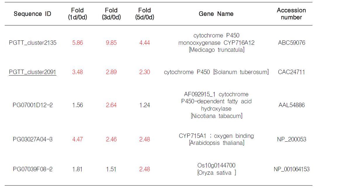MJ 반응하여 발현양이 증가하는 cytochrome P450 유전자