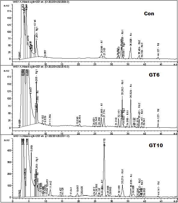 PgGT1-6 및 PgGT1-10 단백질의 enzyme reaction 후 추출물의 HPLC 분석