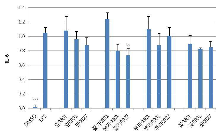 털부처꽃 채취부위 및 채취시기별 추출물이 IL-6 분비에 미치는 영향