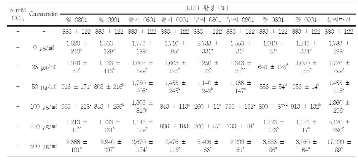 HepG2에서의 LDH 활성