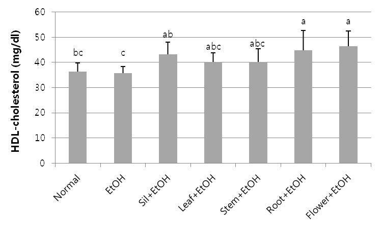 2주간 알코올 투여 흰쥐 혈청의 HDL-콜레스테롤 함량