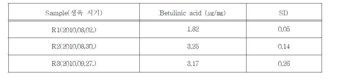 생육시기별 털부처꽃 뿌리 시료의 betulinic acid 함량비교