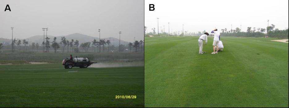 붐스프레이를 이용한 살포전경 (A, Sky72GC)와 엽록소지수 및 잔디엽색 측정과 잔디채취 모습(B)