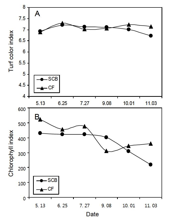 캐슬파인GC 2010년도 SCB액비(SCB)와 화학비료(CF) 시비에 따른 켄터키블루그래스의 잔디엽색지수(A )와 엽록소지수(B)