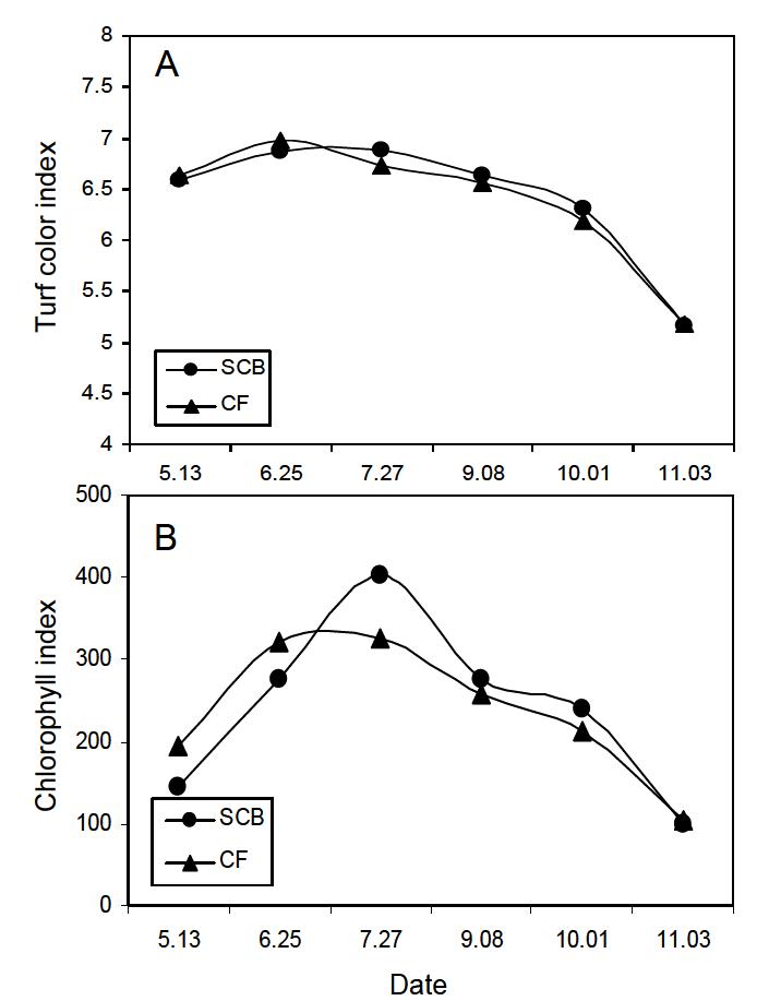 캐슬파인GC 2010년도 SCB액비(SCB)와 화학비료(CF) 시비에 따른 한국잔디의 잔디엽색지수(A )와 엽록소지수(B)