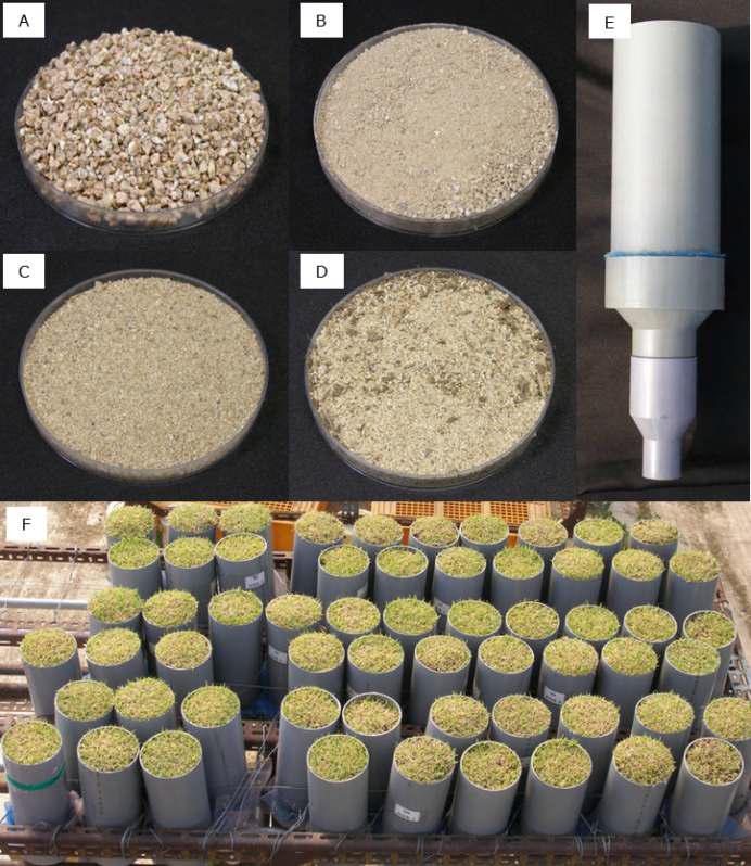 서울대학교 실험농장 2011년도 실험에 사용된 토양(A, 마사토; B, 사양토; C, 모래; D, 혼합토(모래+코이어)과 잔디식재용 PVC 파이프(E)에 한국잔디를 정식한 모습(F)