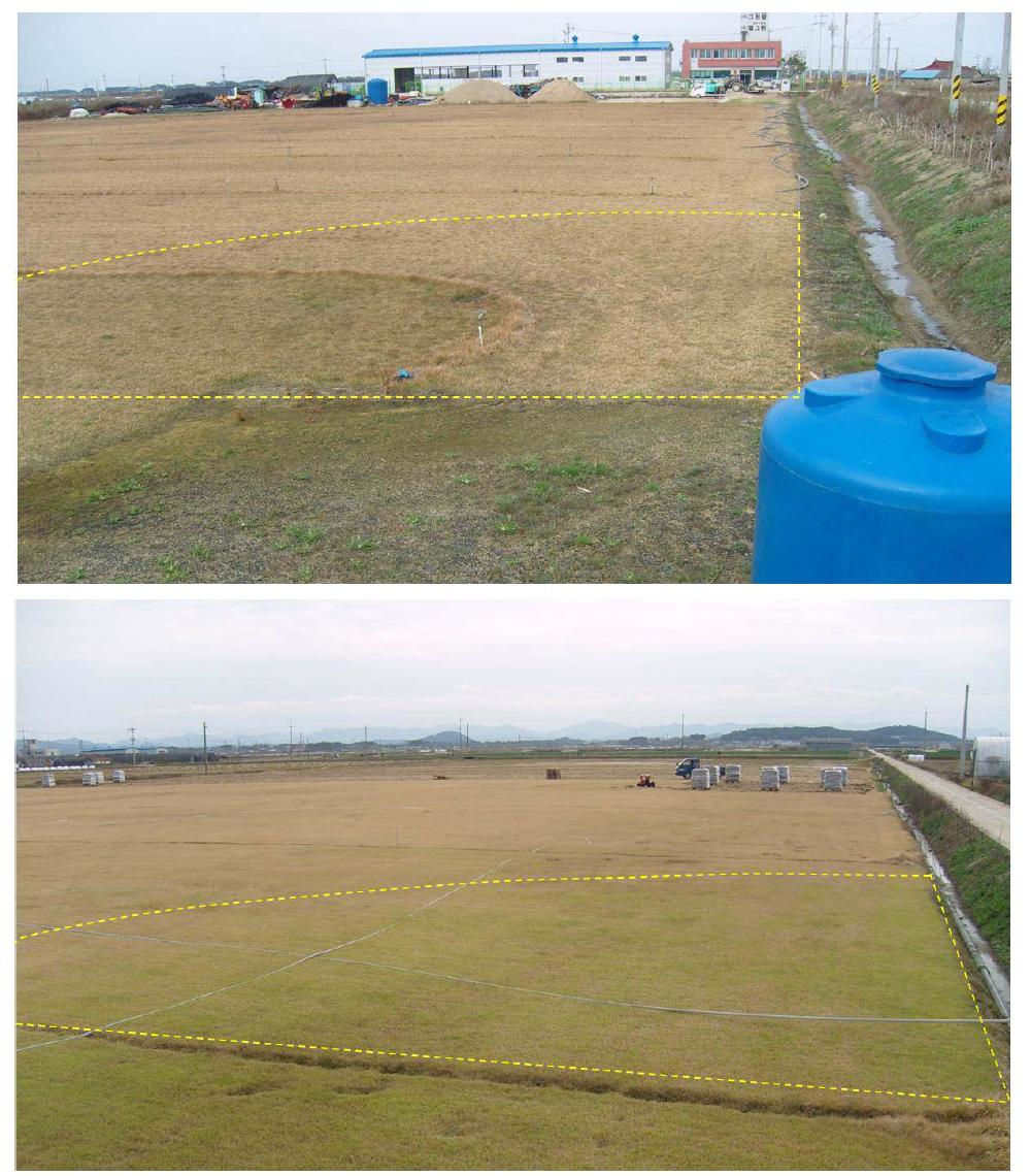 잔디생산현장 실증실험포 2011년 11월 10일 전경