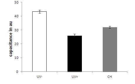 수분보유량 측정 [ control diet only (UV-) and UV irradiated hairless mice control water (UV+), water contended chestnut honey of CH.]