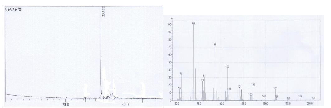 프로폴리스 유래 C23311층의 GC 및 EI-MS 스펙트럼
