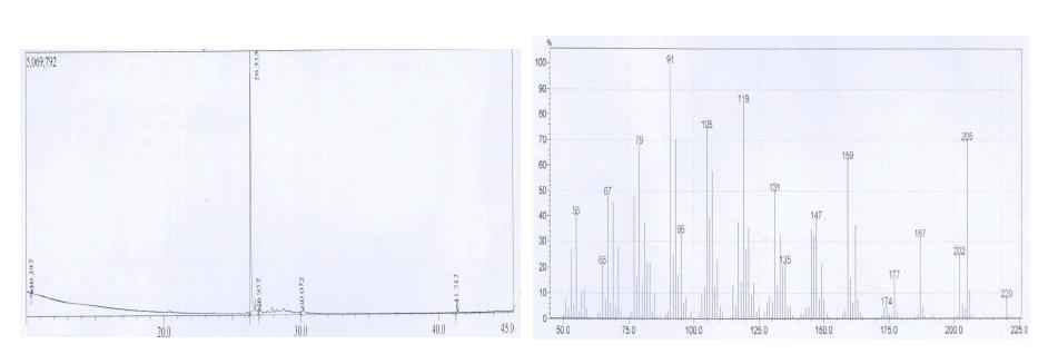 프로폴리스 유래 C23321층의 GC 및 EI-MS 스펙트럼
