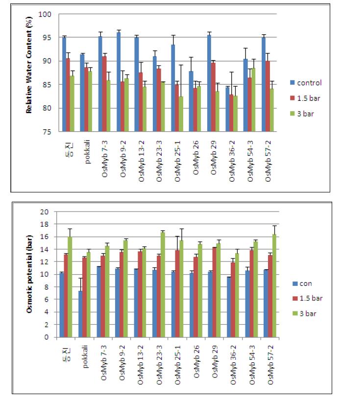 염처리에 따른 MYB 유전자 형질전환 벼의 수분함량(위) 및 삼투퍼텐셜(아래) 변화.