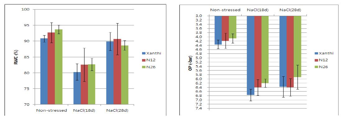 염스트레스하에서의 수분함량(좌) 및 삼투포텐셜(우) 변화.