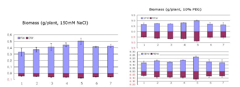 150mM NaCl, 10% PEG 처리에 따른 bCH1 형질전환 벼 계통의 생체중(FW) 및 건조중(DW).