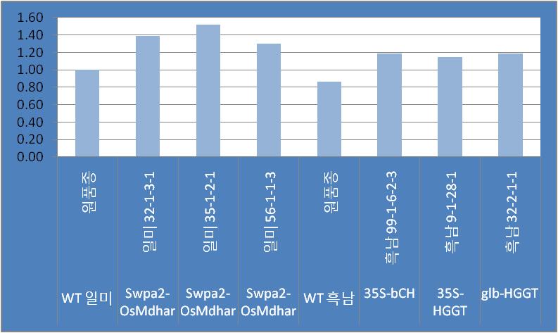 3종 유전자 형질전환체 (OsMdhar, bCH, HGGT)를 대상으로 저온(15도씨) 발아 2주 후 뿌리길이를 측정하여 원품종에 대한 길이의 비로 표현함