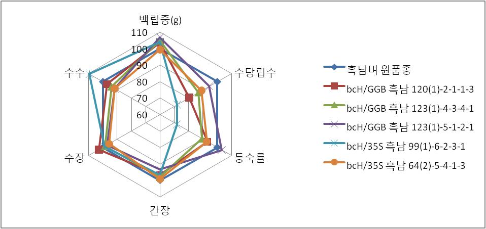 내염, 내한발, 저온 내성 증진 형질전환체 (bCH1)를 대상으로 농업적 형질 비교